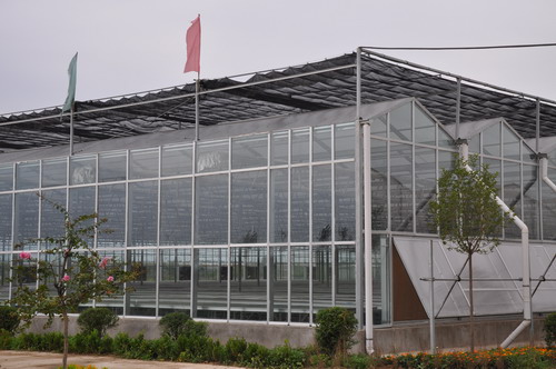 「PC耐力板」可以代替钢化玻璃吗？