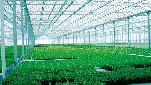 用PC阳光板做温室大棚的好处有哪些？真实有效