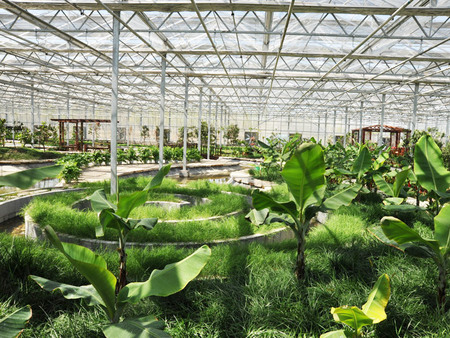 PC阳光板温室大棚的两种结构是什么？各有什么特性？已解决